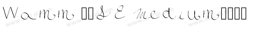 Wamm 01SE Medium字体转换